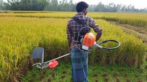 Paddy Cutting Machine